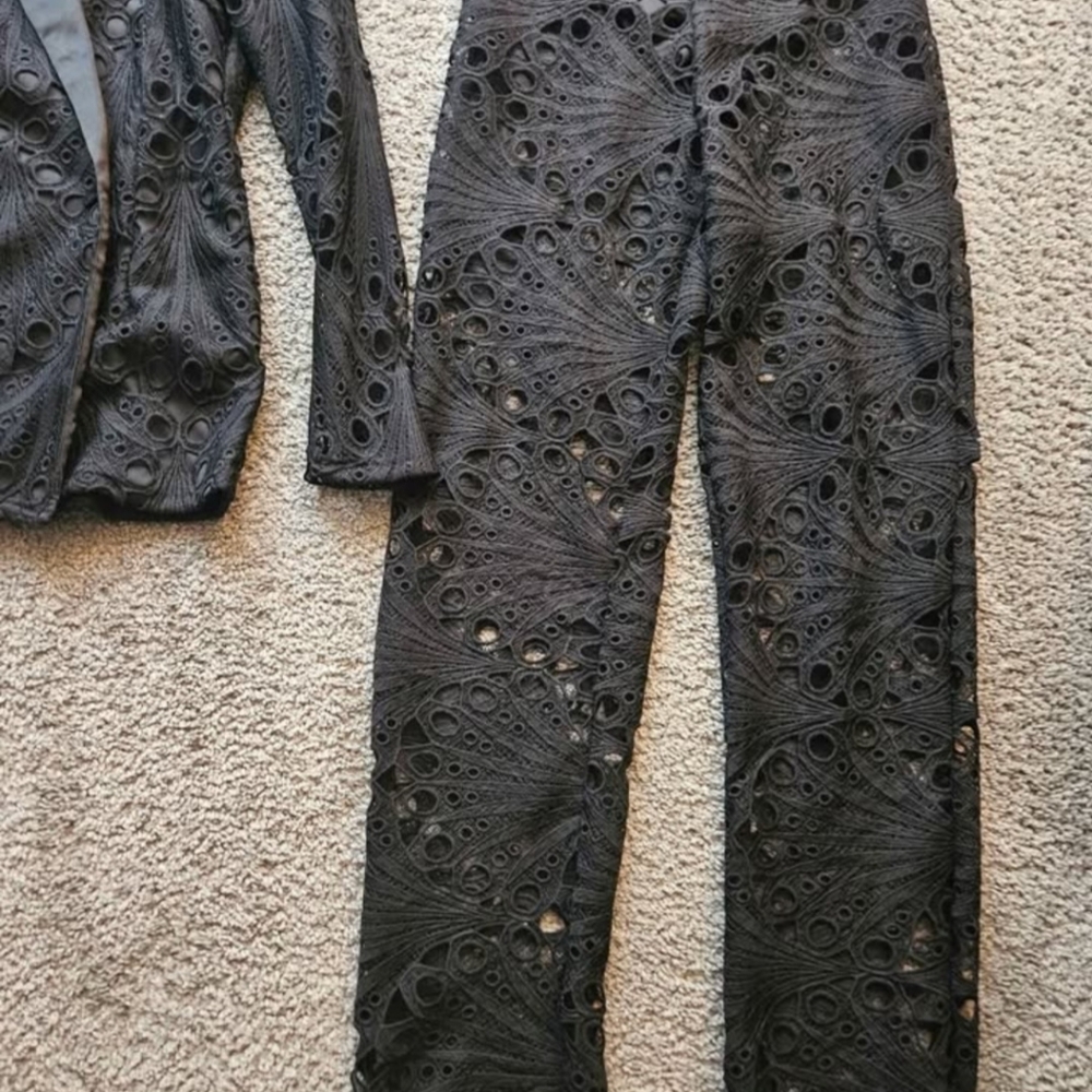 Pretty little thing sheer pant suit